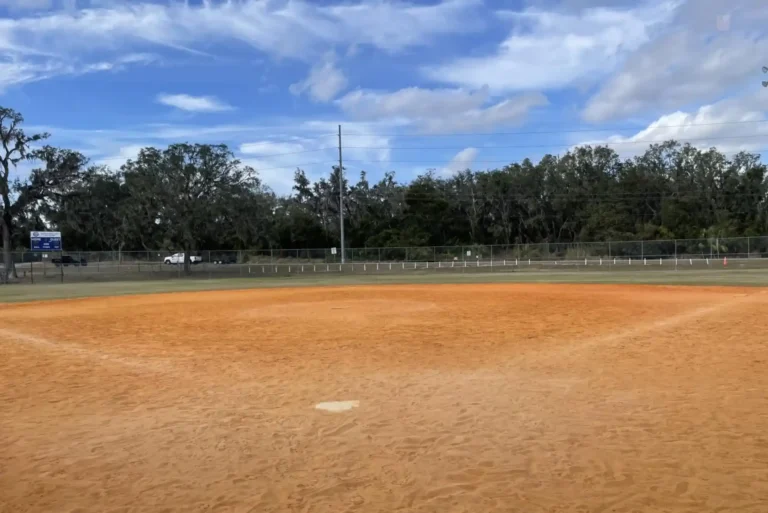 FishHawk Sports Complex: A Community Hub for Athletics and Recreation