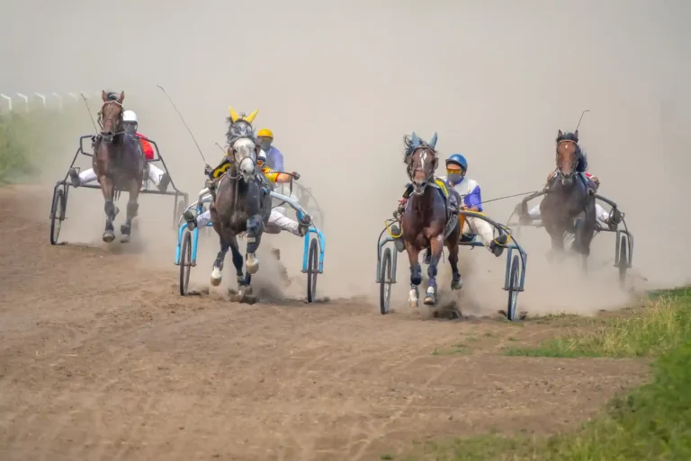 What Are Popular Horse Racing Betting Markets? What Are Popular Horse Racing Betting Markets?